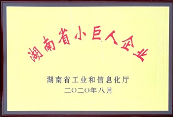 湖南省小巨人企業(yè)